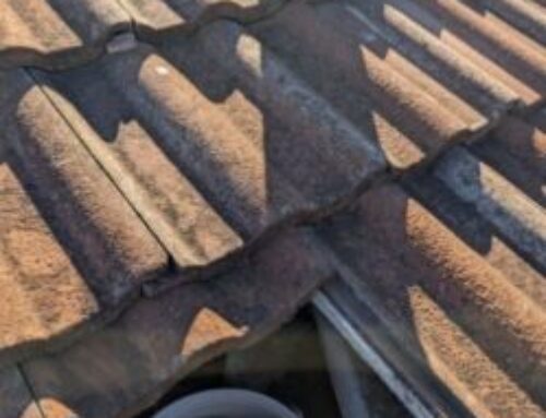 Roof Inspection Beldon